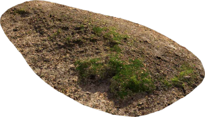 mossy forest ground 001 — Скачать