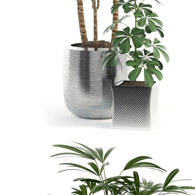 Plants collection 90 — Descargar