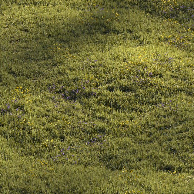 Grass and Flower — Скачать