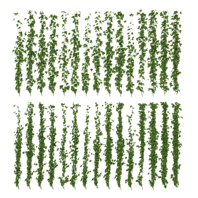 Wall of ivy leaves — Descargar