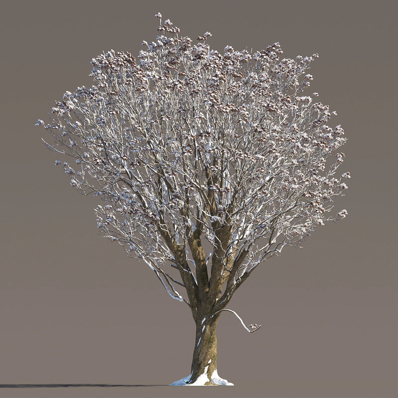 055 winter — Descargar