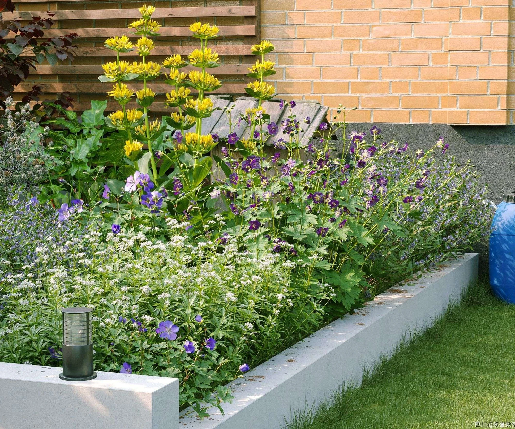 plant models vol 136 — Descargar