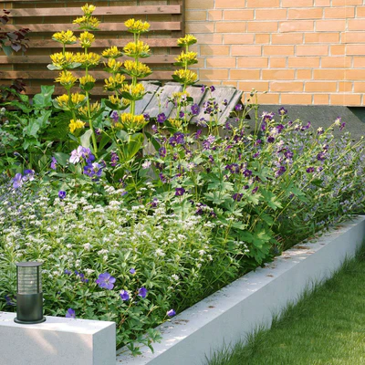 plant models vol 136 — download