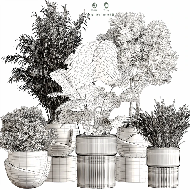 Indoor Plant Set 35 Dry Plants — Скачать