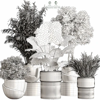 Indoor Plant Set 35 Dry Plants — Вид 3