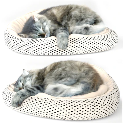 Cat — Ver 3