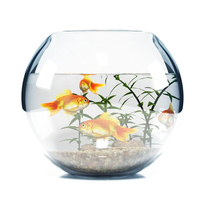 BOWL AQUARIUM — Descargar