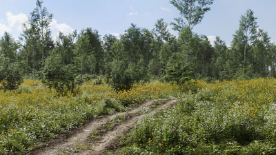 biome 05 — download