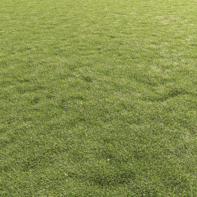 Lawn Grass 01 — Descargar