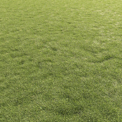 Lawn Grass 01 — Ver 1