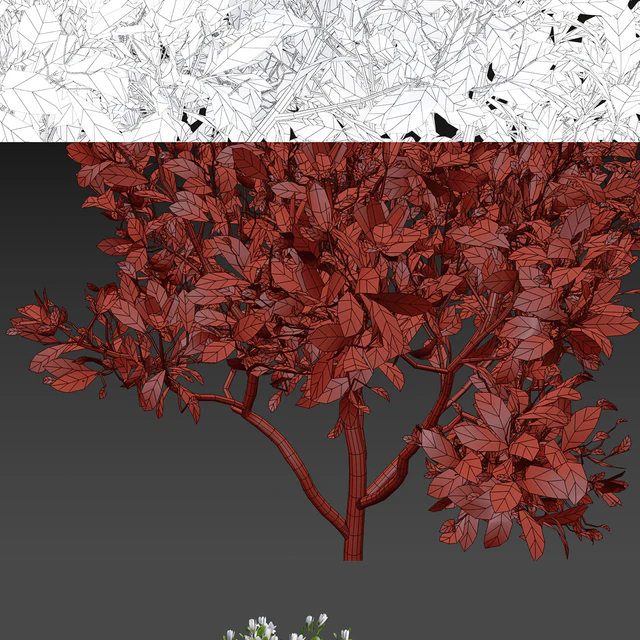 Magnolia Sulange | Magnolia x soulangeana — Descargar