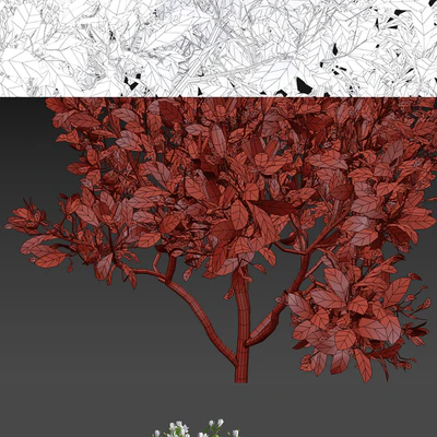 Magnolia Sulange | Magnolia x soulangeana — Ver 2