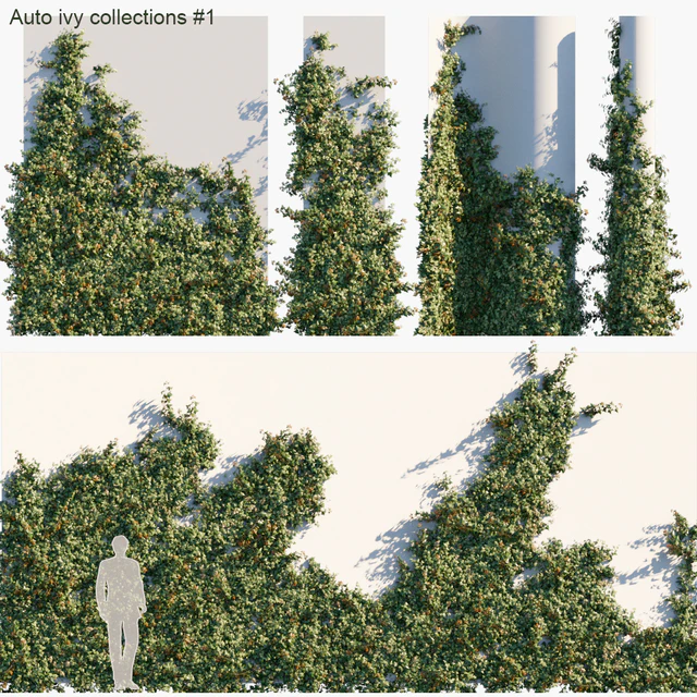 Auto ivy collections # 1 — Descargar