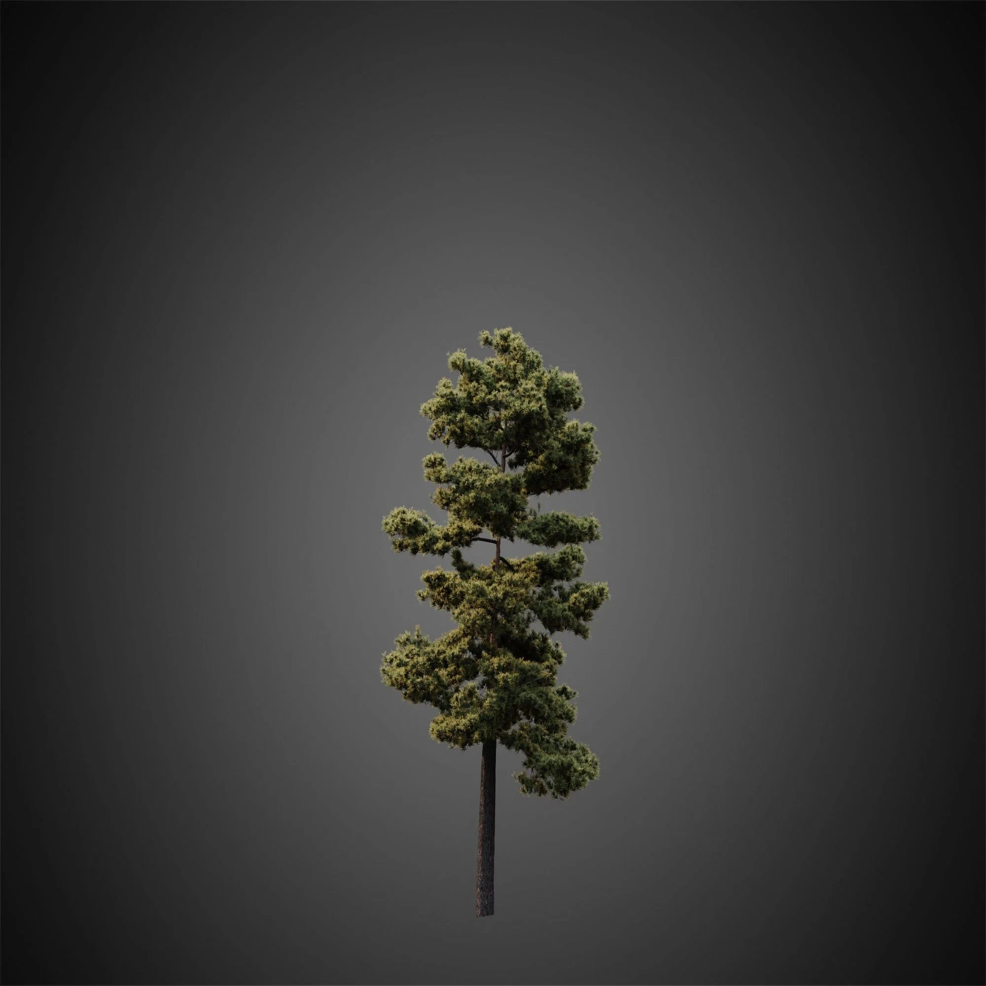 003 — Download