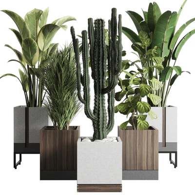 Plant box Indoor outdoor plant 163 wooden and concrete dirt vase box pot palm cactus Collection — Ver 1