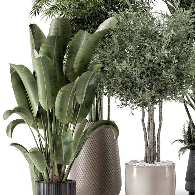Indoor Plants in Ferm Living Bau Pot Large - Set 1325 — Descargar