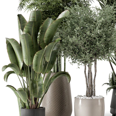Indoor Plants in Ferm Living Bau Pot Large - Set 1325 — Ver 3