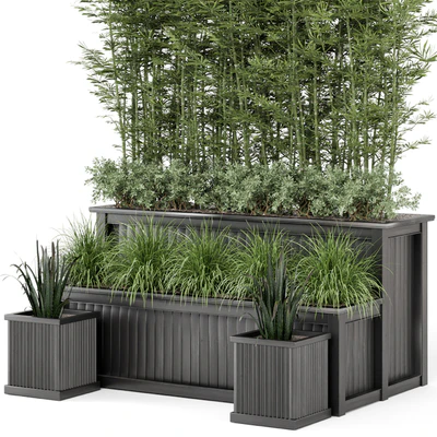 Outdoor Plants Bamboo and bush in Wooden Pot -Set 195 — Вид 4
