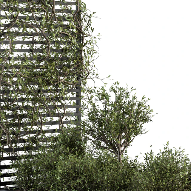 Garden set ivy and Bush - Garden Set 13 — Descargar