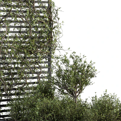 Garden set ivy and Bush - Garden Set 13 — Ver 3