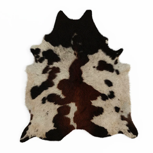 Black and Brown Spotted Cowhide Rug — Descargar