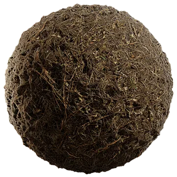 grass dried 005 — Descargar