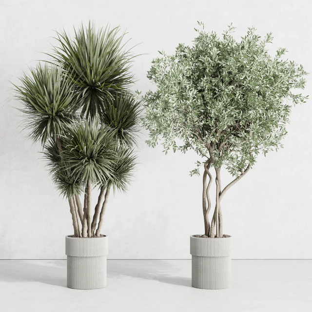 indoor plant set 414 plant ficus elastica tree palm bush concrete vase — Скачать