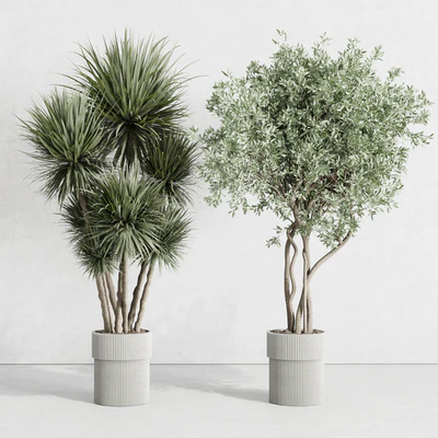 indoor plant set 414 plant ficus elastica tree palm bush concrete vase — Вид 5