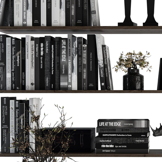 Decorative Set on Shelves and Decor objects — Descargar