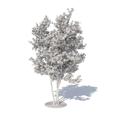 Urban Maple Tree — Ver 2
