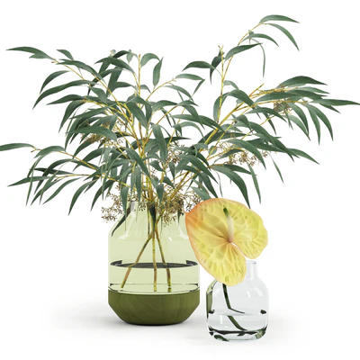 Eucalyptus&Anthurium in Muuto's vases — Вид 1
