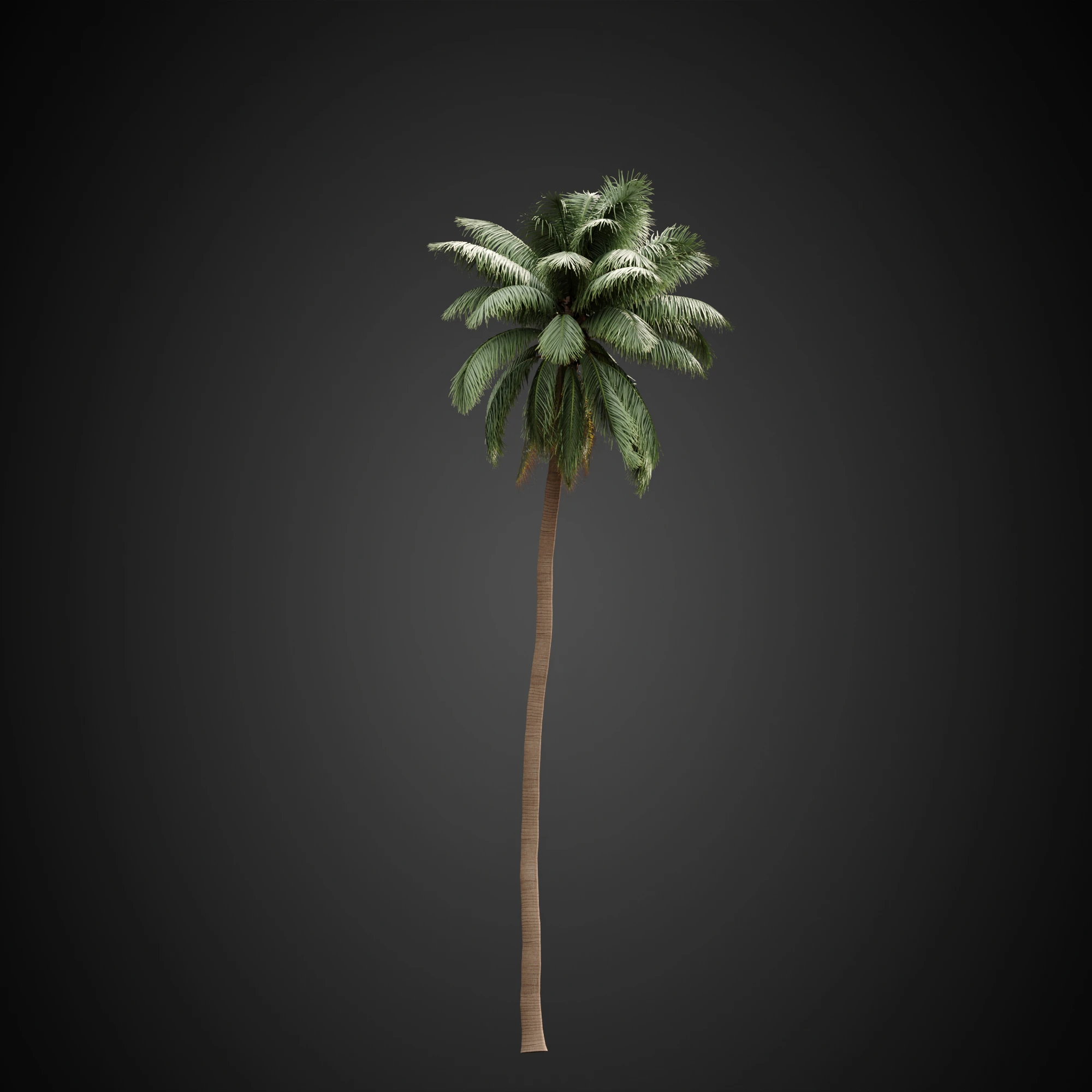 002 — Descargar