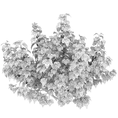 Currant bush — Ver 4