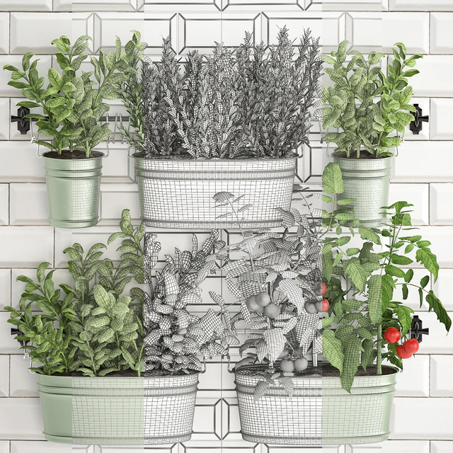 Plant Collection 382. Кухонный сад, огород, кухонный фартук, плитка, овощи, зелень, помидоры, розмарин, базилик, рейлинг — Descargar