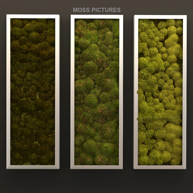 Moss pictures — Скачать