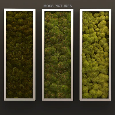 Moss pictures — Вид 1