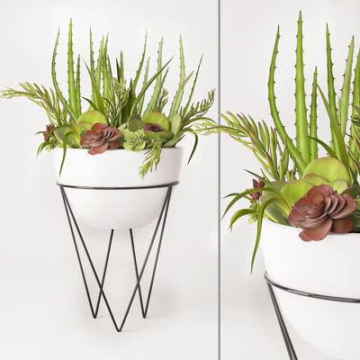 Succulent arrangement — Ver 1