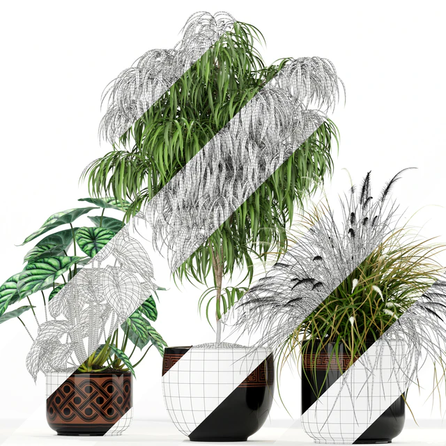 Plants collection 182 — Скачать