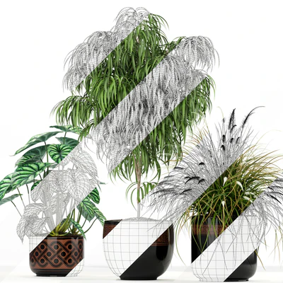 Plants collection 182 — Вид 3