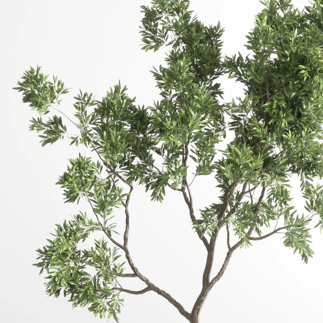 Indoor plant 176 wooden vase plant tree pot — Descargar