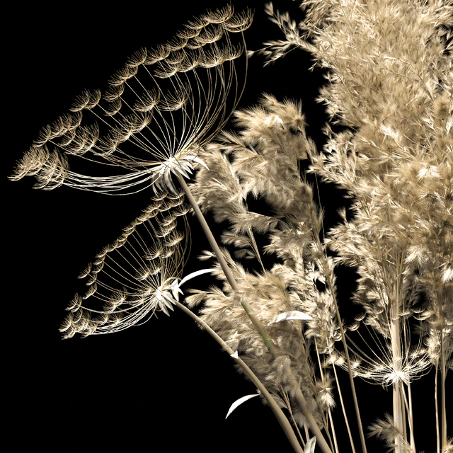 dried flowers — Descargar
