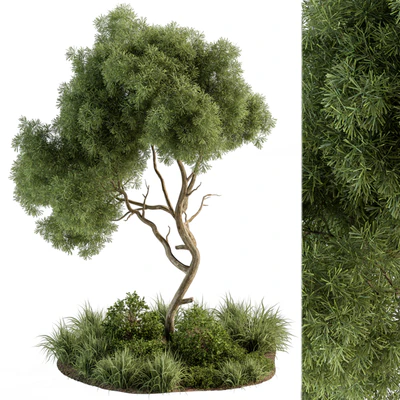 Garden Set Tree and Plants - Outdoor Plants Set 399 — скачать