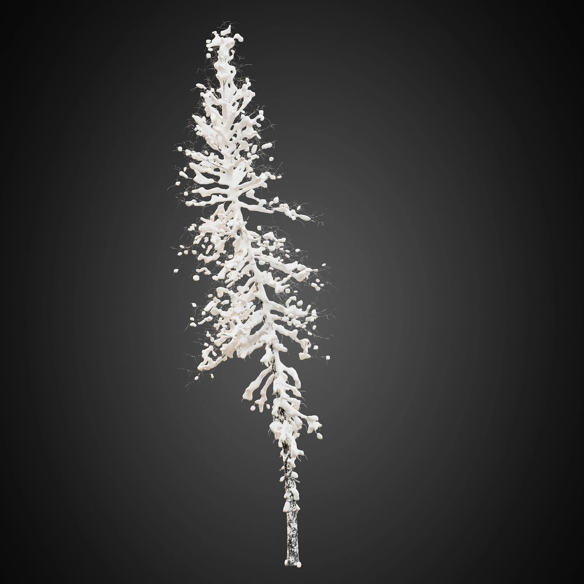 018 — Скачать