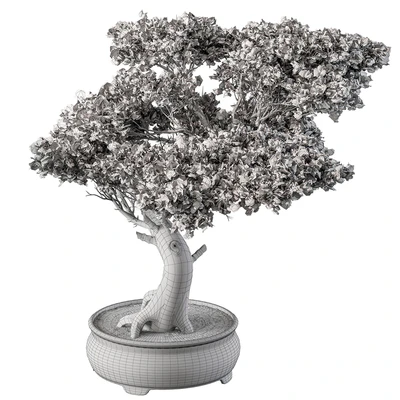 indoor Plant 451 - Bonsai Plant — Ver 2