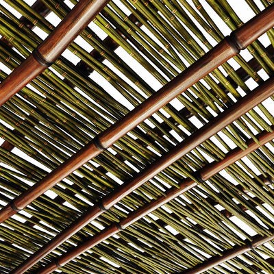 Branch bamboo long low n3 / Long bamboo branches No. 3 — Ver 5