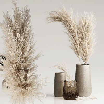 Dried Pampas Plant in Vases — Ver 1