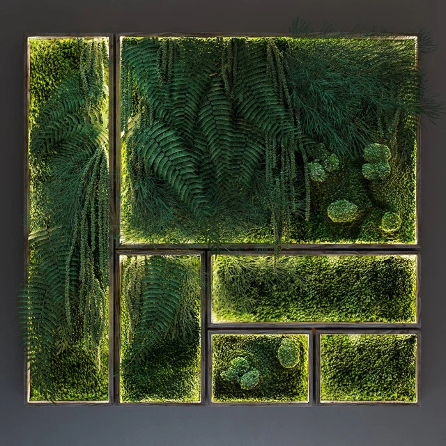 Moss and fern fytowall — Скачать