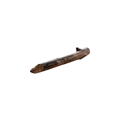 tree debris 011 — Скачать