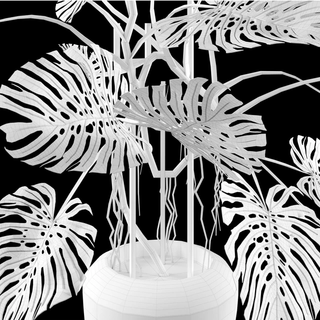 Big Monstera/Большая Монстера — Скачать