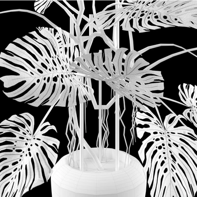 Big Monstera/Большая Монстера — Вид 3
